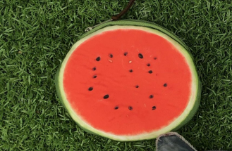 Animal Fidget pouch with Zip - Soft Sensory WATERMELON – Yellow Ladybugs